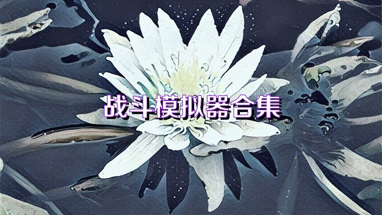 戰(zhàn)斗模擬器合集