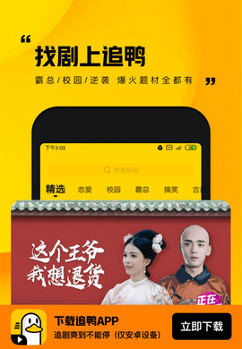 追鴨1