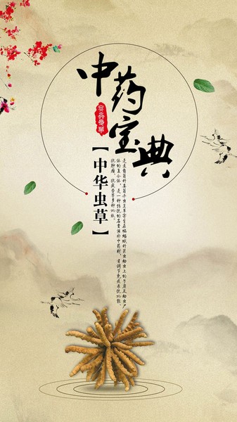 中藥寶典4