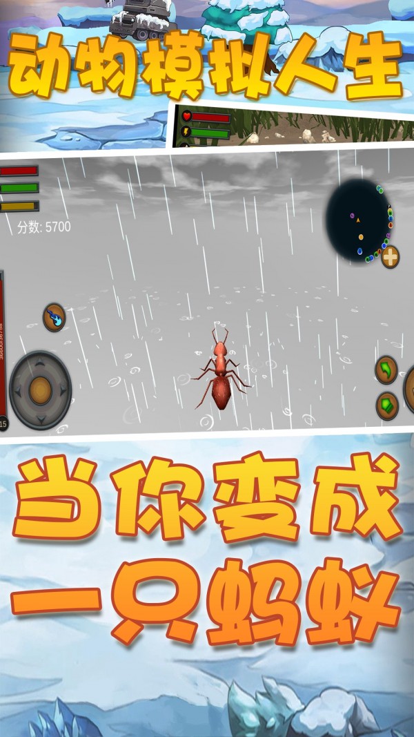 動物模擬人生免費(fèi)1