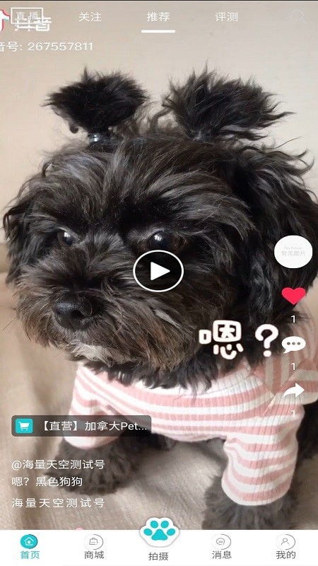 分分寵最新版1