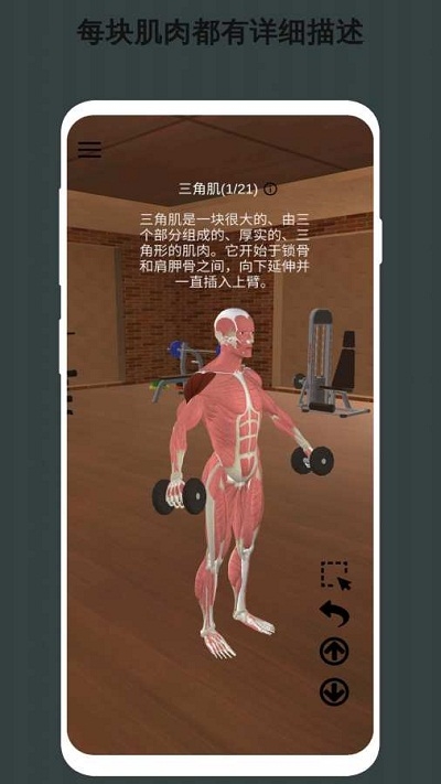 3D健身動畫教程3