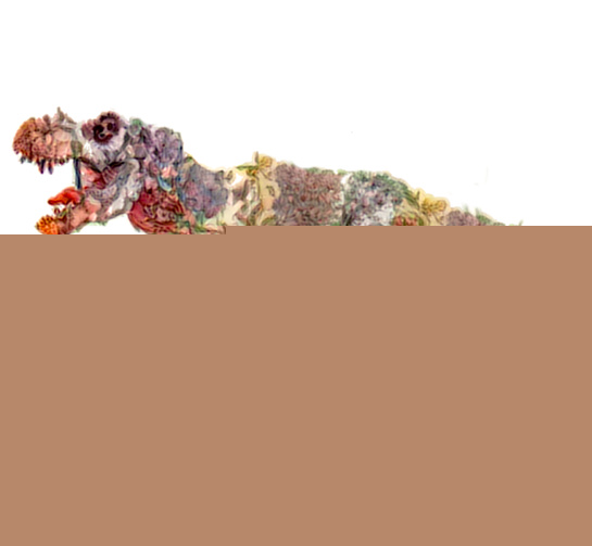 Deep Art Effects5
