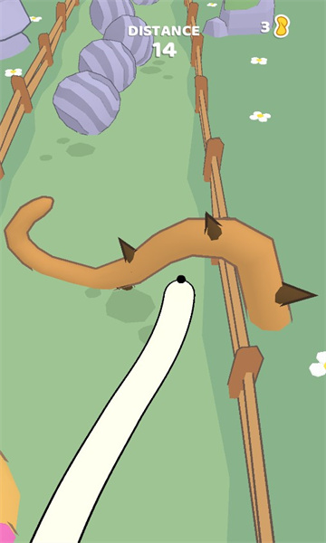 Long Nose Dog3