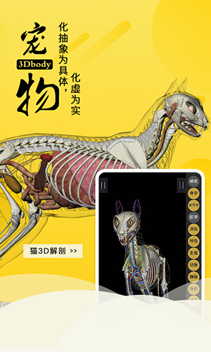 3dbody寵物3