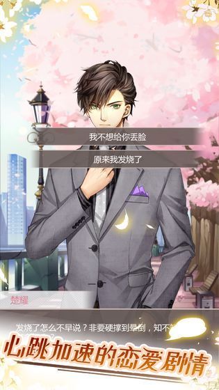 貓咪異聞2
