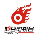 陽谷融媒