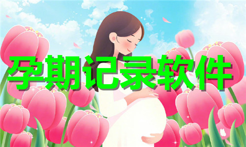 孕期記錄軟件大全