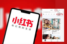 小紅書電腦版