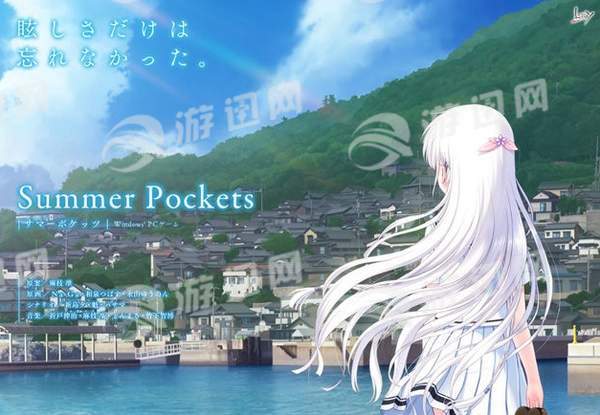 夏日口袋1