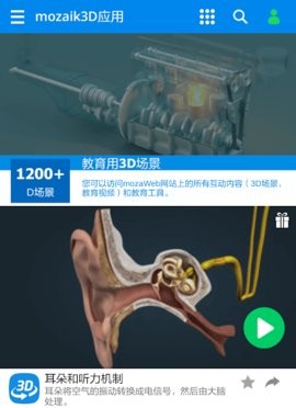 mozaik3D1