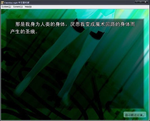 fate命運(yùn)之夜3