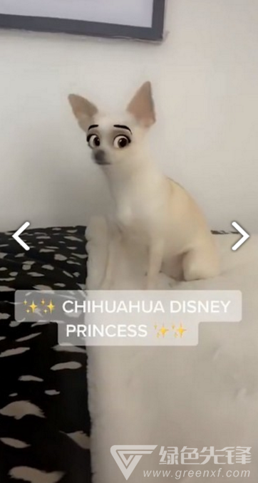 迪士尼濾鏡(snapchat迪士尼濾鏡)V1.1 安卓免費(fèi)版2