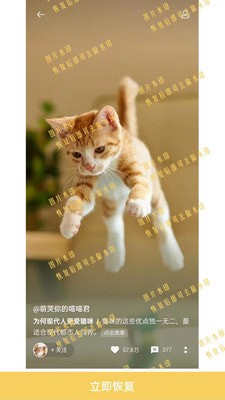 數(shù)據(jù)恢復(fù)工具1