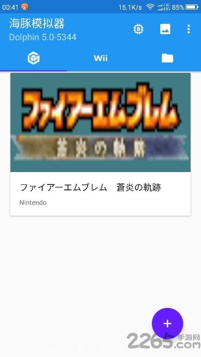 dolphin模擬器1