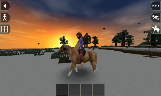 生存戰(zhàn)爭(Survivalcraft)4