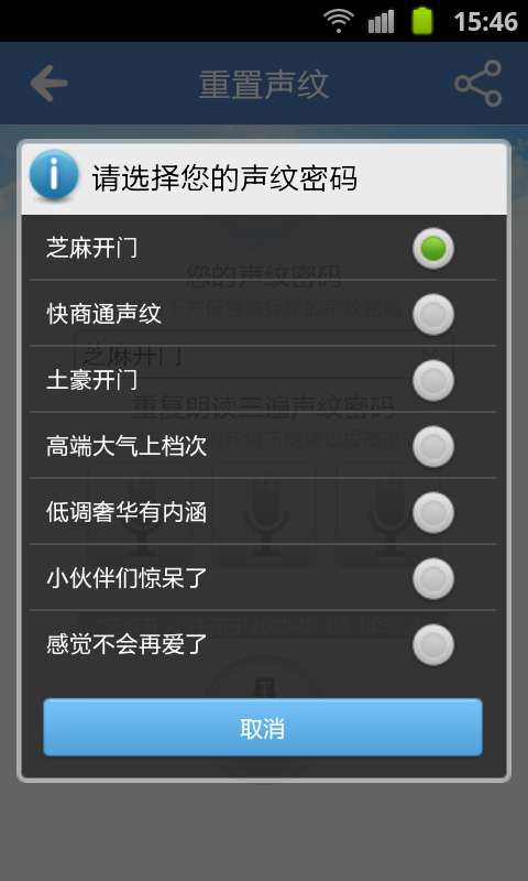 隱私聲紋鎖官方4
