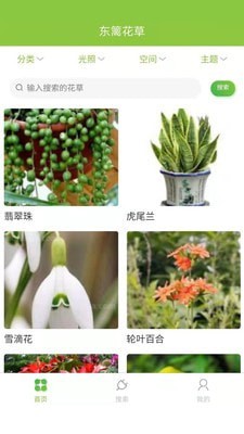 東籬花草1