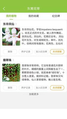 東籬花草4