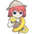 bacchikoiscEX籃球版