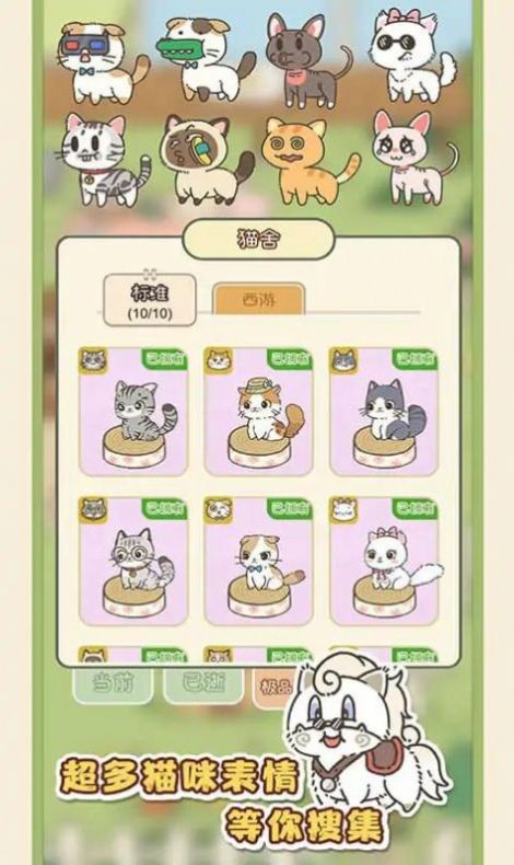 找下貓1