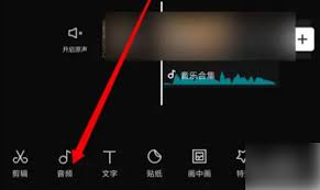 抖音剪映變聲技巧