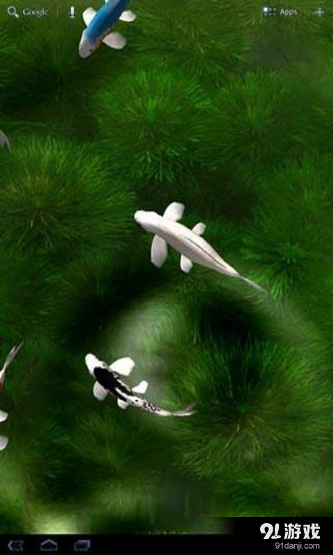 錦鯉3D動態(tài)壁紙1