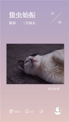 有期5