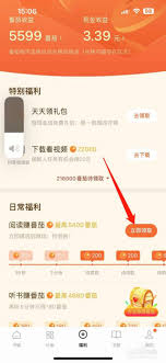 番茄小說金幣任務怎么完成