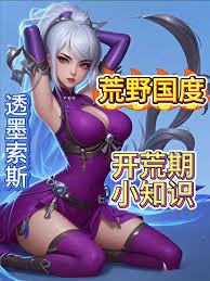 荒野國度新手指南