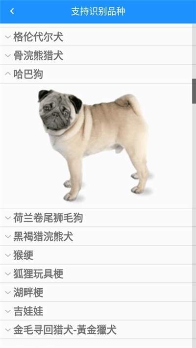 哈狗識別1
