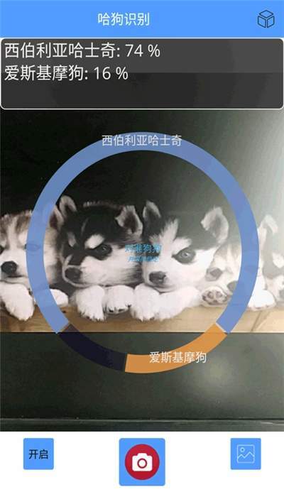 哈狗識別2