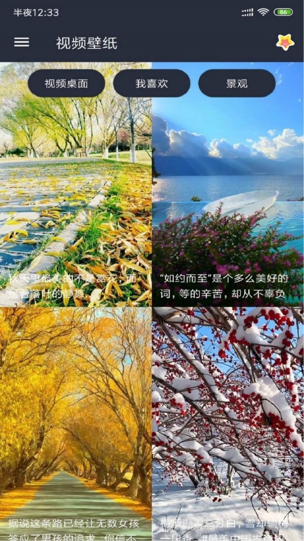動(dòng)漫視頻壁紙免費(fèi)3