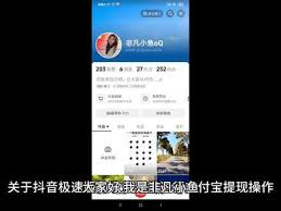 抖音極速版無法提現(xiàn)到支付寶怎么辦