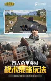 和平精英精簡版1