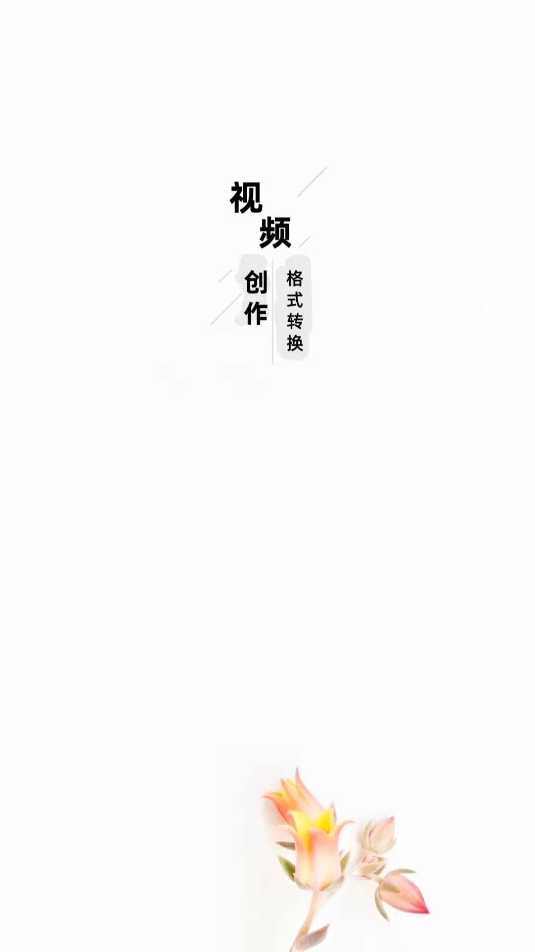 智點(diǎn)音視頻格式轉(zhuǎn)換3