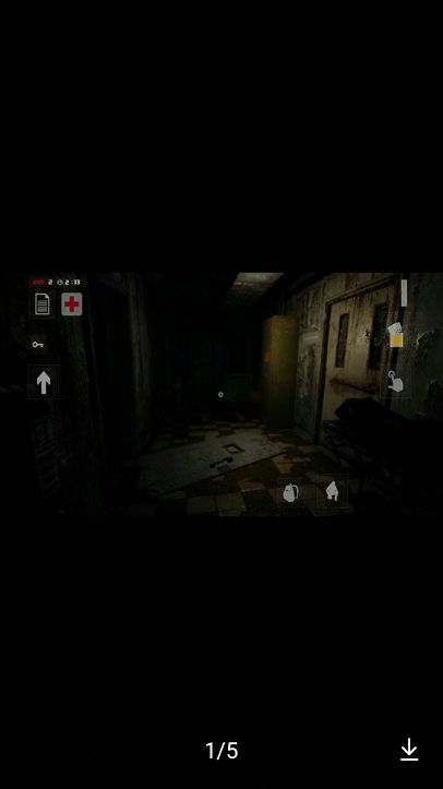 752號(hào)精神病人漢化版2