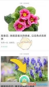 形色app如何鑒定植物