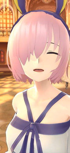 Fate Grand Order Waltz5
