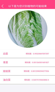 拍照識花神器3