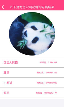 拍照識花神器4