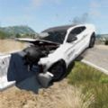 真實汽車碰撞
