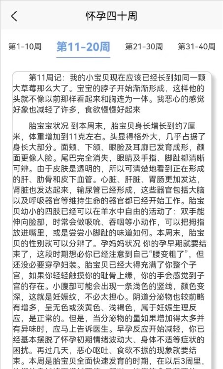 成語寶寶早教3