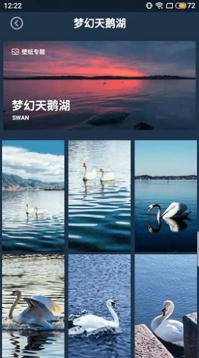 壁紙圖片大師1