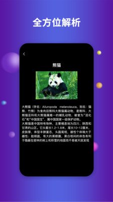 earth地球3