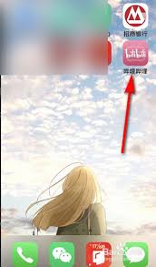 嗶哩嗶哩如何查看軟件版本