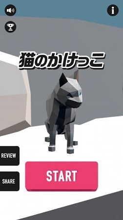 貓咪疾走1