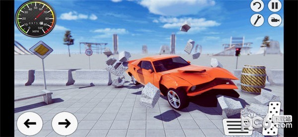 Car Crash5