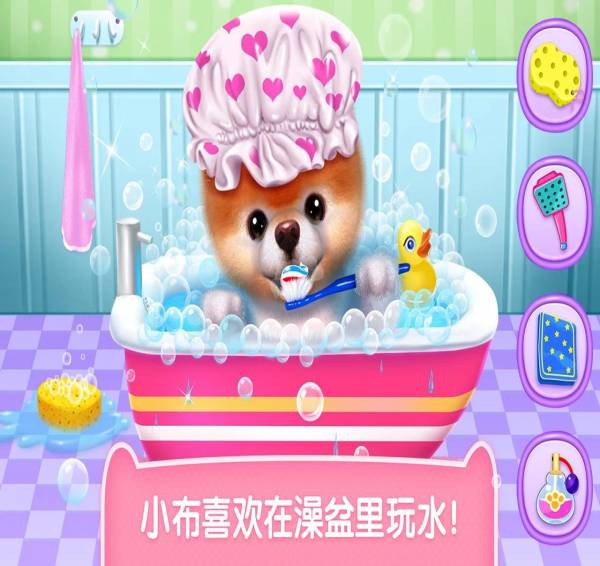 可可公主之寵物小布1