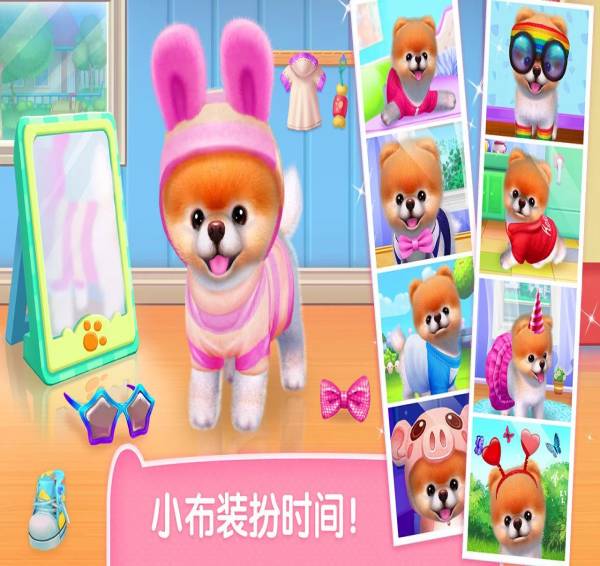 可可公主之寵物小布4